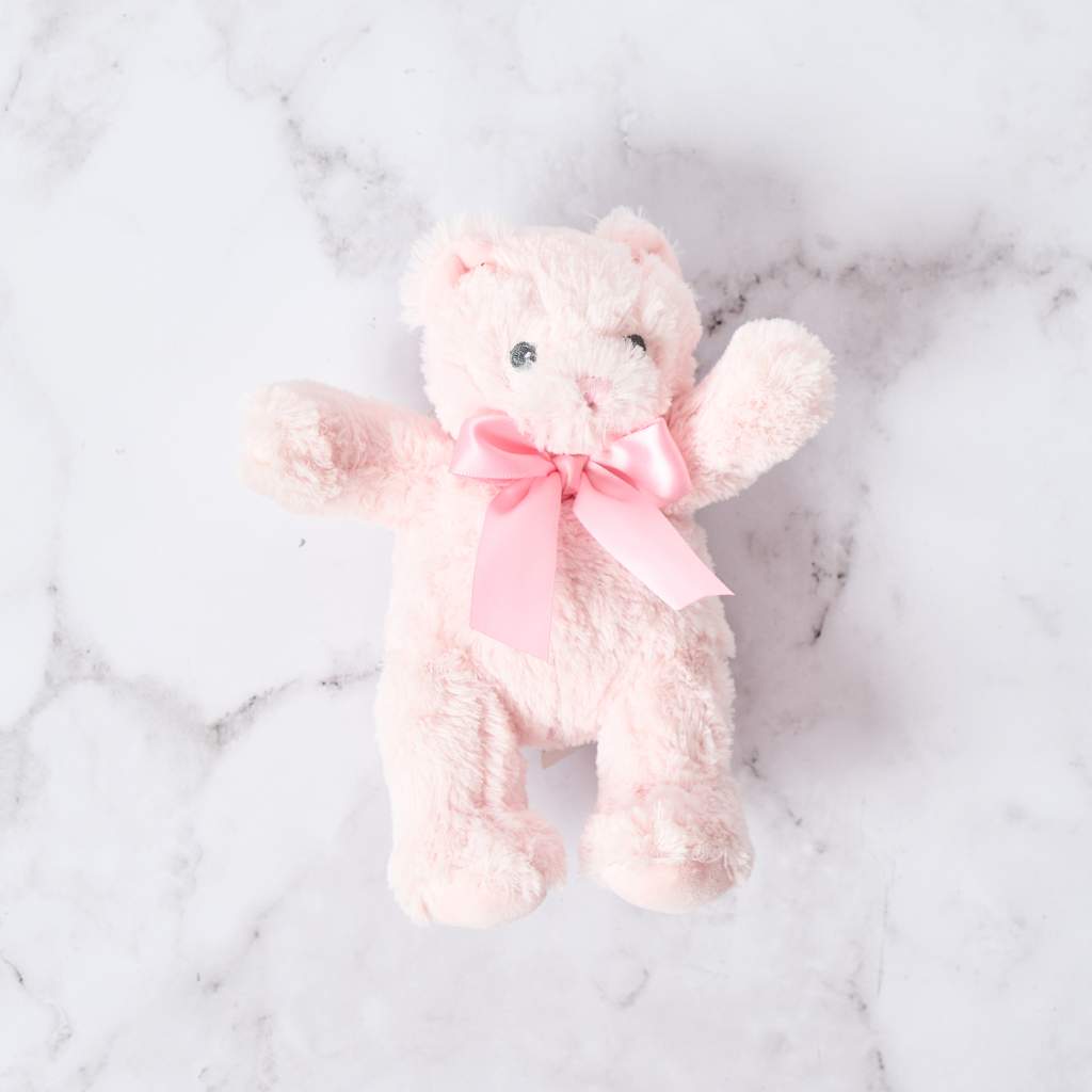Plush pink teddy bear soft fabric Fabulous Flowers and Gifts