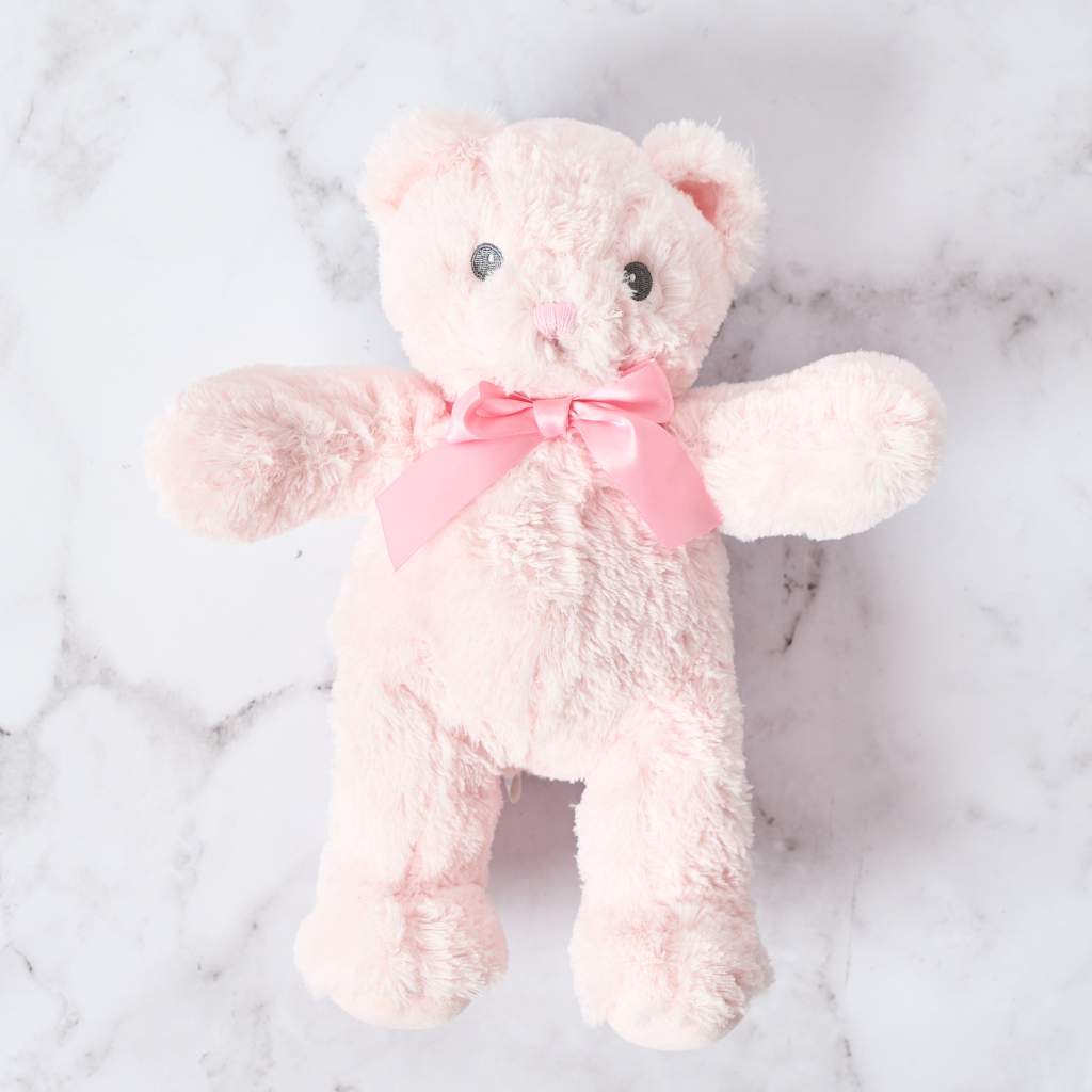 Soft and cuddly 28cm pink teddy bear keepsake Fabulous Flowers and Gifts