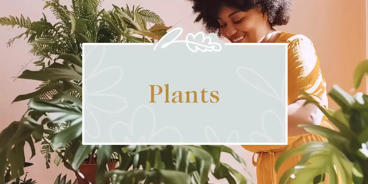 A smiling woman surrounded by lush green plants in a beautifully lit room. Fabulous Flowers and Gifts - Plants