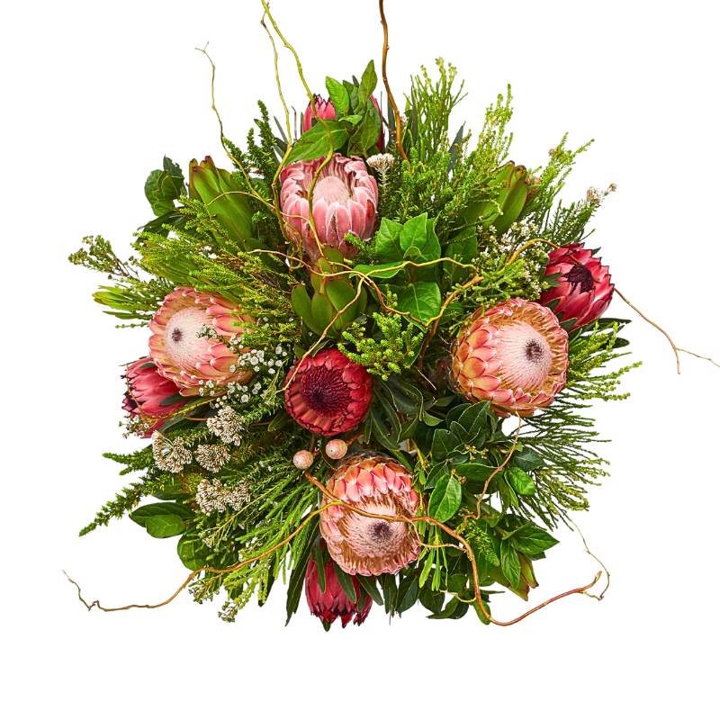 Arrangement  of protea flowers and greenery on a white background