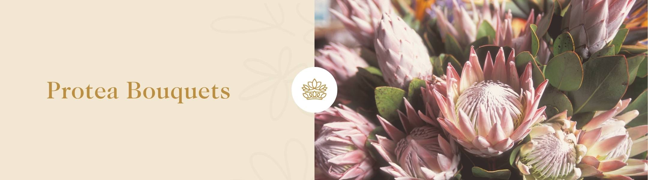 Shop Protea Bouquets Fabulous Flowers Gifts Shop Protea Bouquets Fabulous Flowers Gifts