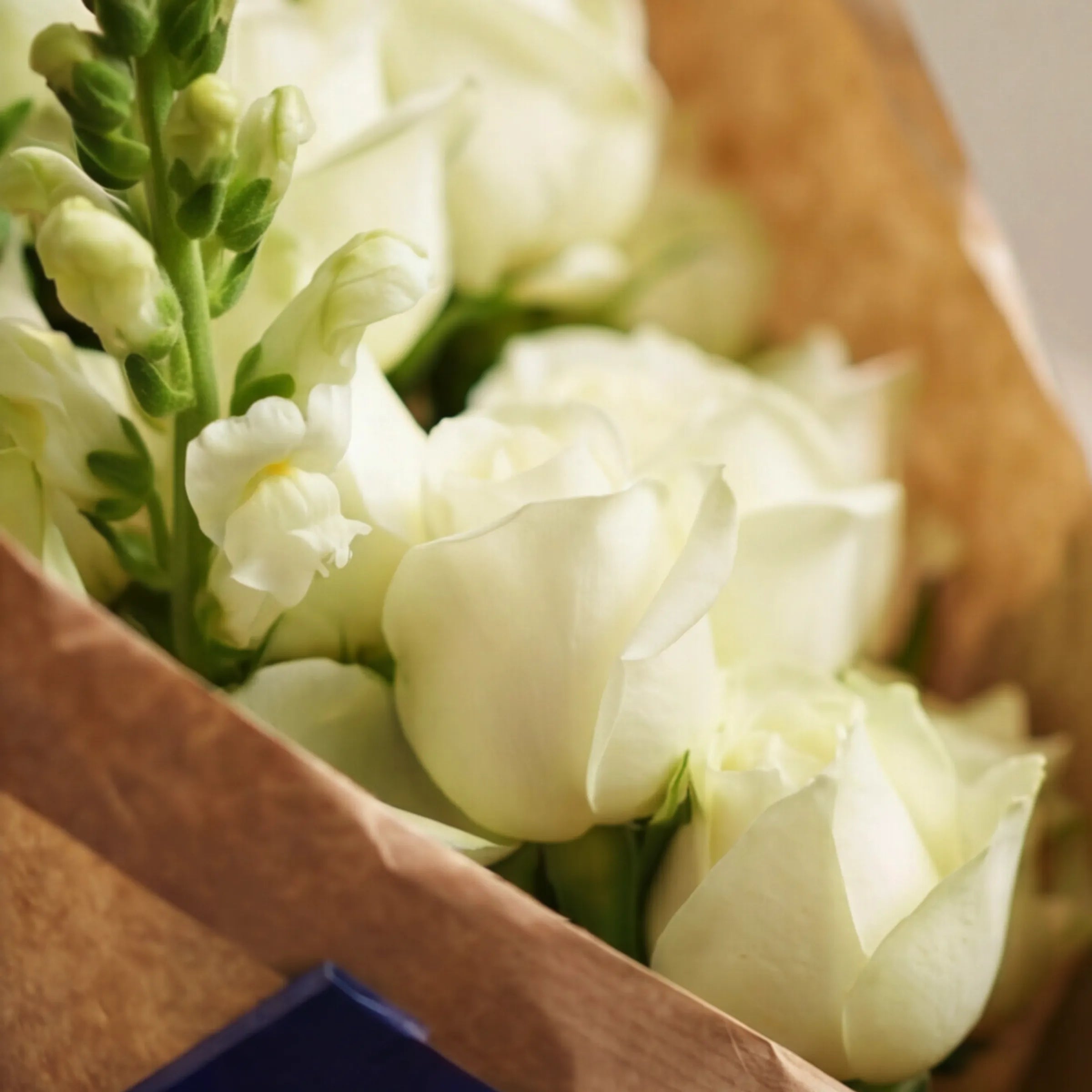 Close-up of white roses and a white snapdragon in the Elegant White Bouquet by Fabulous Flowers since 1999