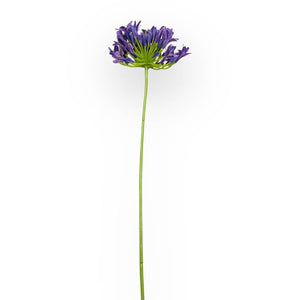 Lifelike Purple Agapanthus Artificial Flower Stem - Fabulous Flowers and Gifts