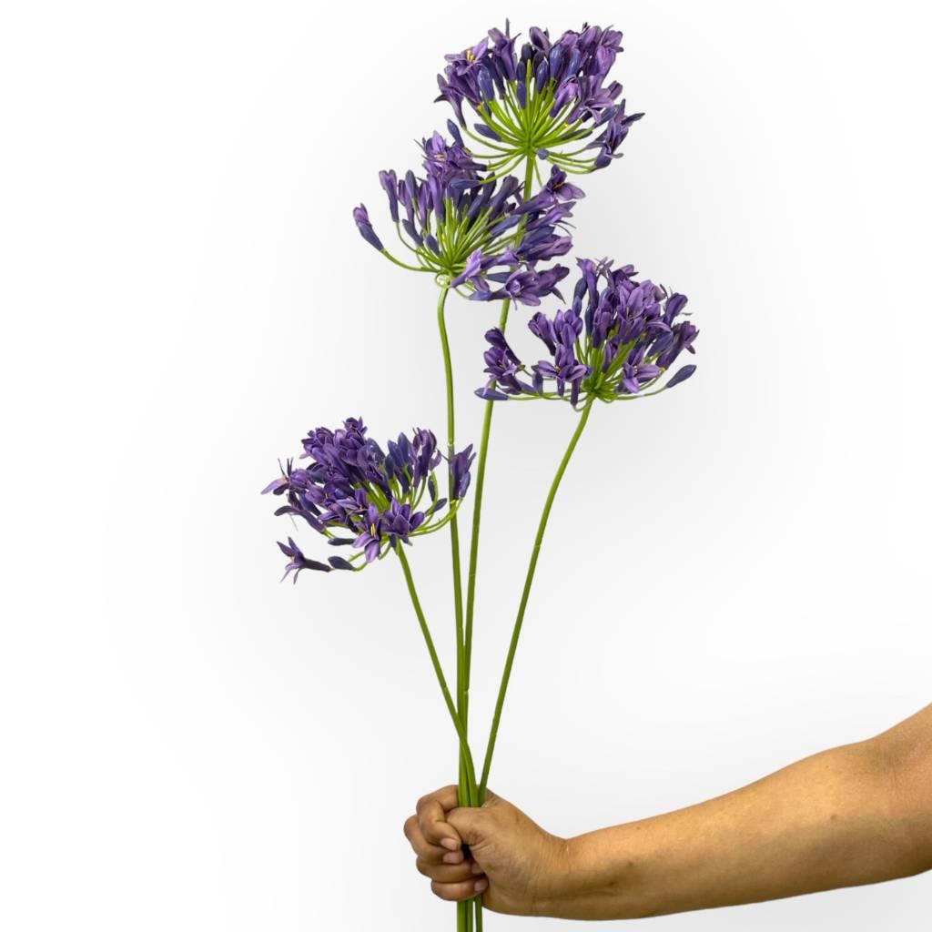 Vibrant Purple Agapanthus Faux Flowers Fabulous Flowers and Gifts