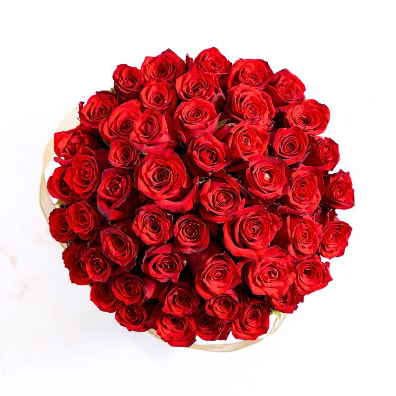 Top shot of red roses on a white background