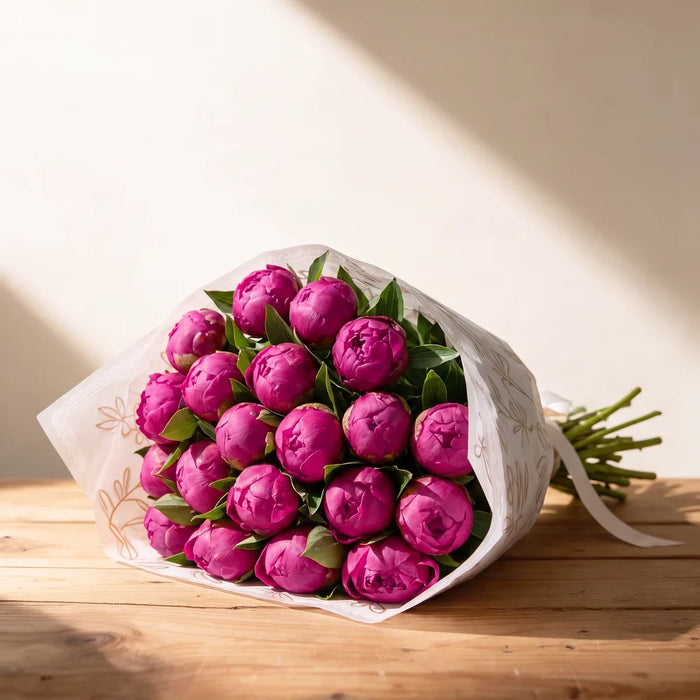Twenty Red Sarah Bernhardt peonies in deep magenta bud, wrapped in white paper with a gold leaf print on a pine table in afternoon sunlight, Fabulous Flowers South Africa