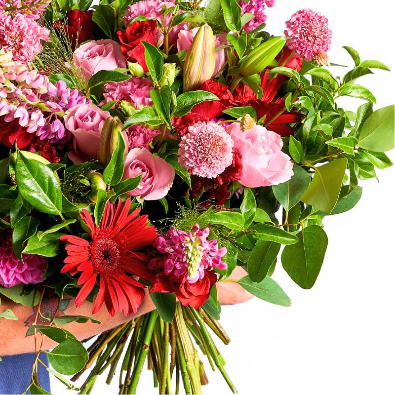 Bouquet of red and pink flowers with green leaves held by a hand on a white background
