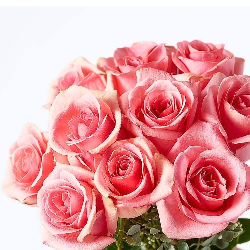 Rose Promise close-up — soft pink rose heads and velvety petals from a ten-stem bouquet by Fabulous Flowers & Gifts.