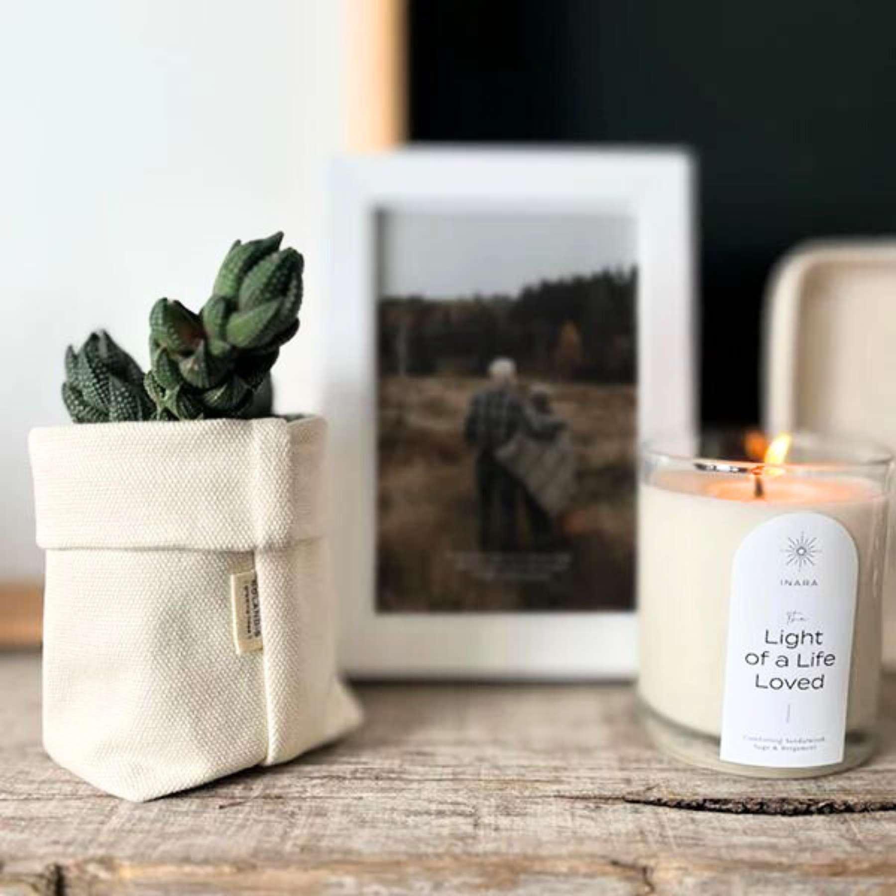 A potted succulent in a cream-coloured SOLANDIS fabric container on a rustic wooden table, alongside a framed photo and lit INARA candle, part of the Fabulous Flowers and Gifts collection.