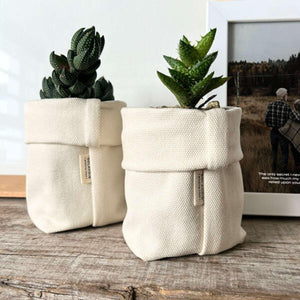 Two eco-friendly SOLANDIS living gifts featuring lush succulents in textured cream fabric pots, displayed on a wooden surface, ideal for the Fabulous Flowers and Gifts range.