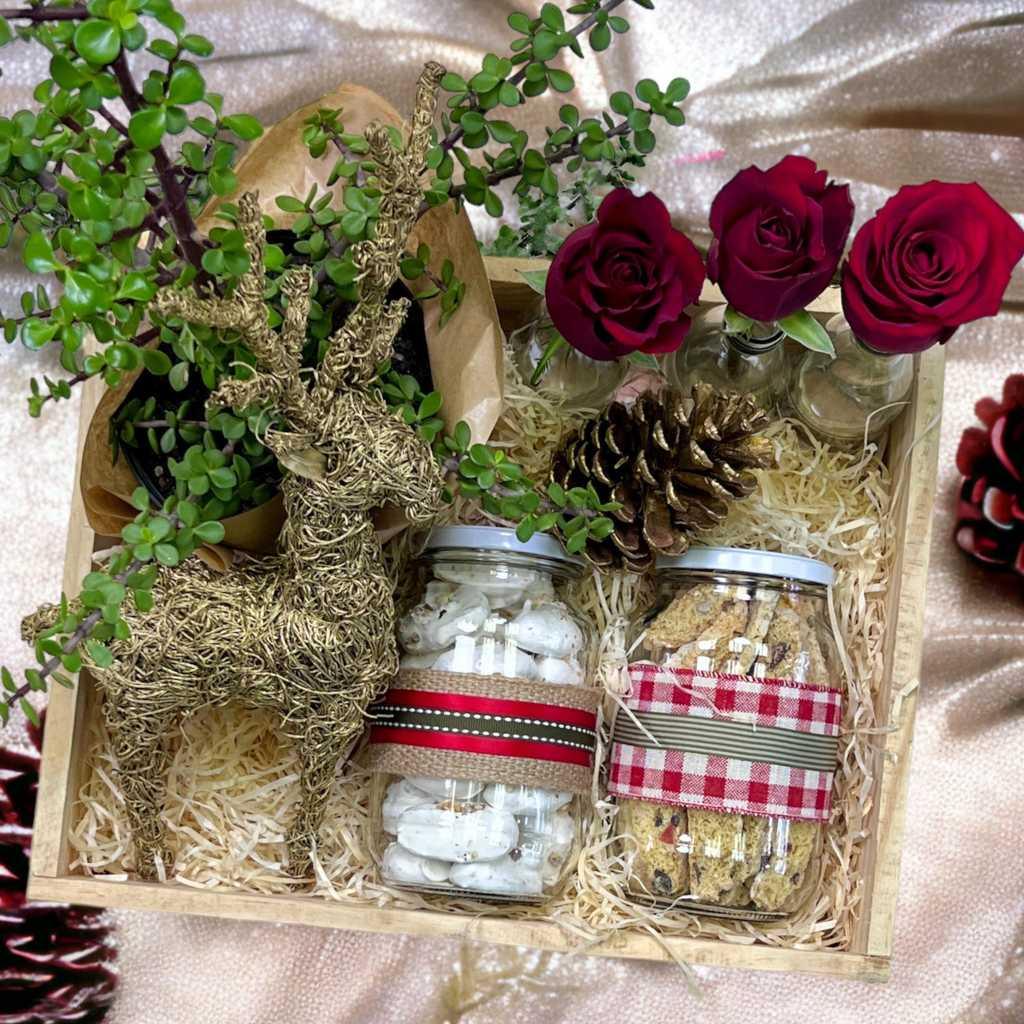 Seasons Greetings Gift Box with red roses and festive decor and spekboom plant - Fabulous Flowers and Gifts