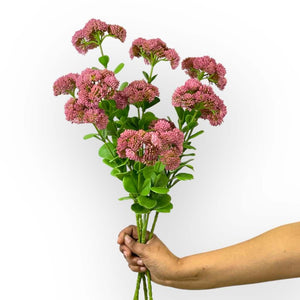 Sedum Pink Artificial Flower Detail - Fabulous Flowers and Gifts
