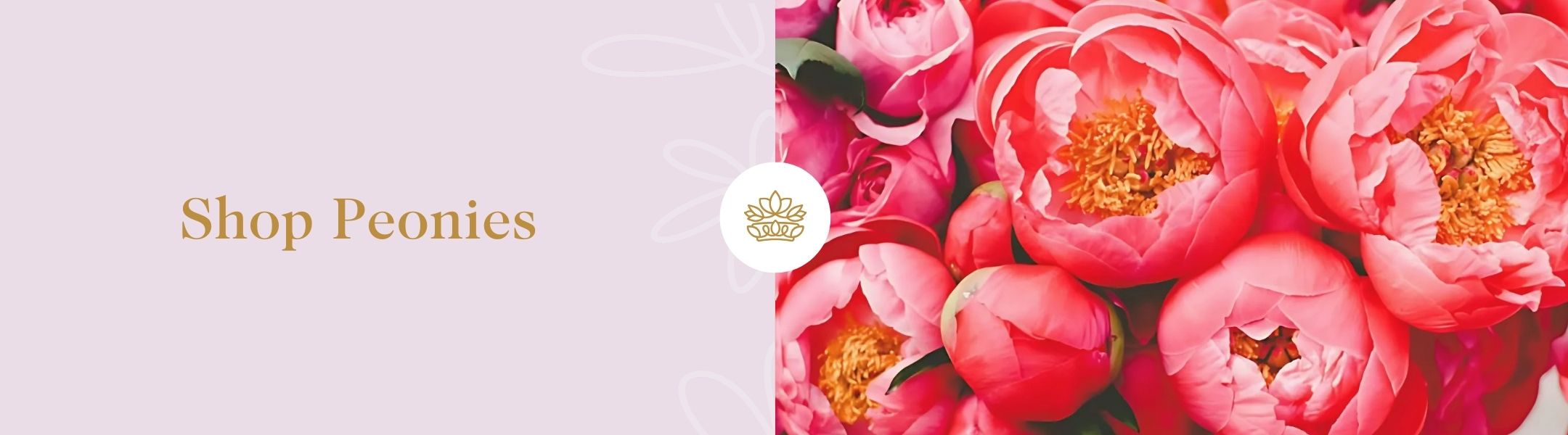 Shop Peonies - Fabulous Flowers and Gifts banner featuring coral pink peonies in full bloom with golden centres on a soft lilac background