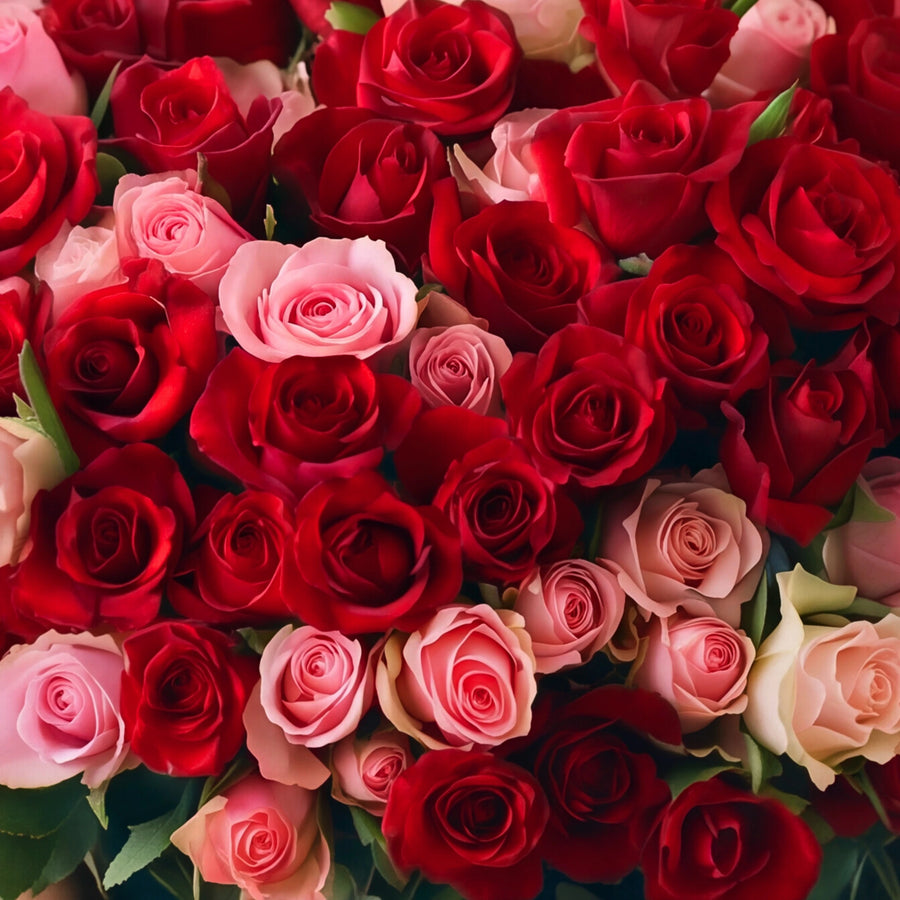 Close view of the red, pink and cream roses inside the 250-rose Language of Love luxury bouquet