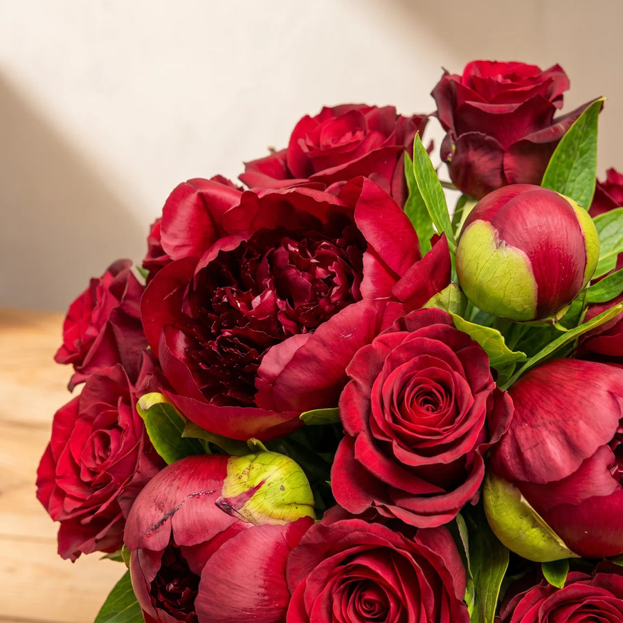 Close-up of an open ruffled red peony among velvety red roses and peony buds
