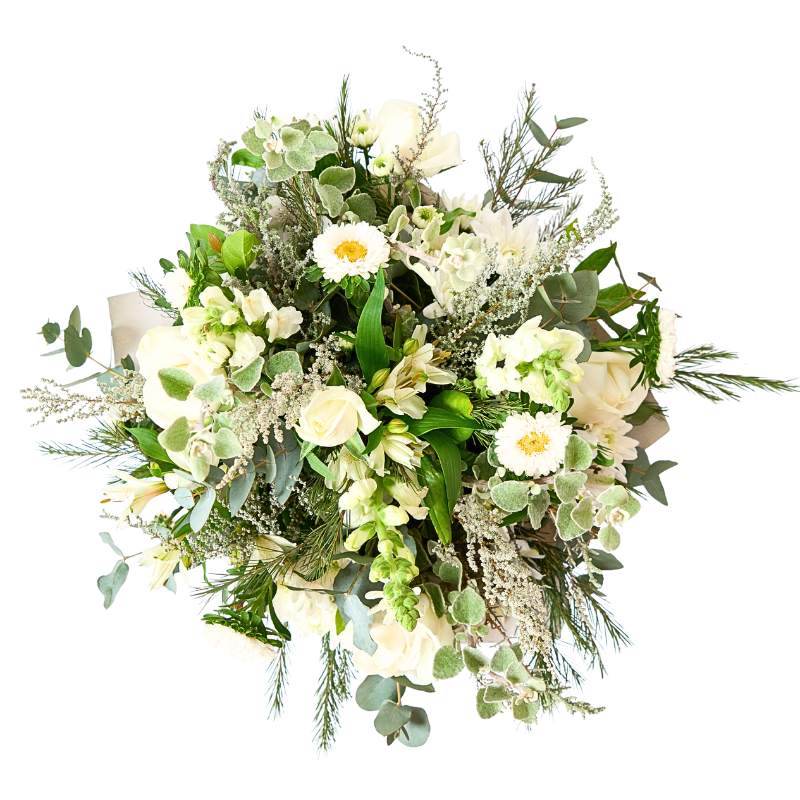 Container of white and green flowers on a white background