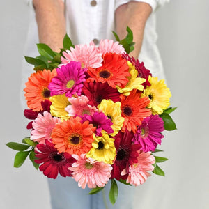 Florist near me holding Tropical Bliss Gerbera Bouquet Mixed Colours - Fabulous Flowers