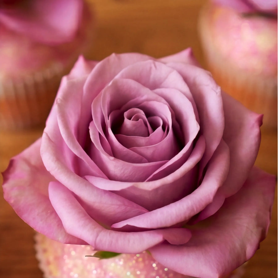 Macro detail of a fresh lavender-pink rose bloom sitting on a glitter-dusted vanilla cupcake, hand-finished by Fabulous Flowers Claremont studio bakery