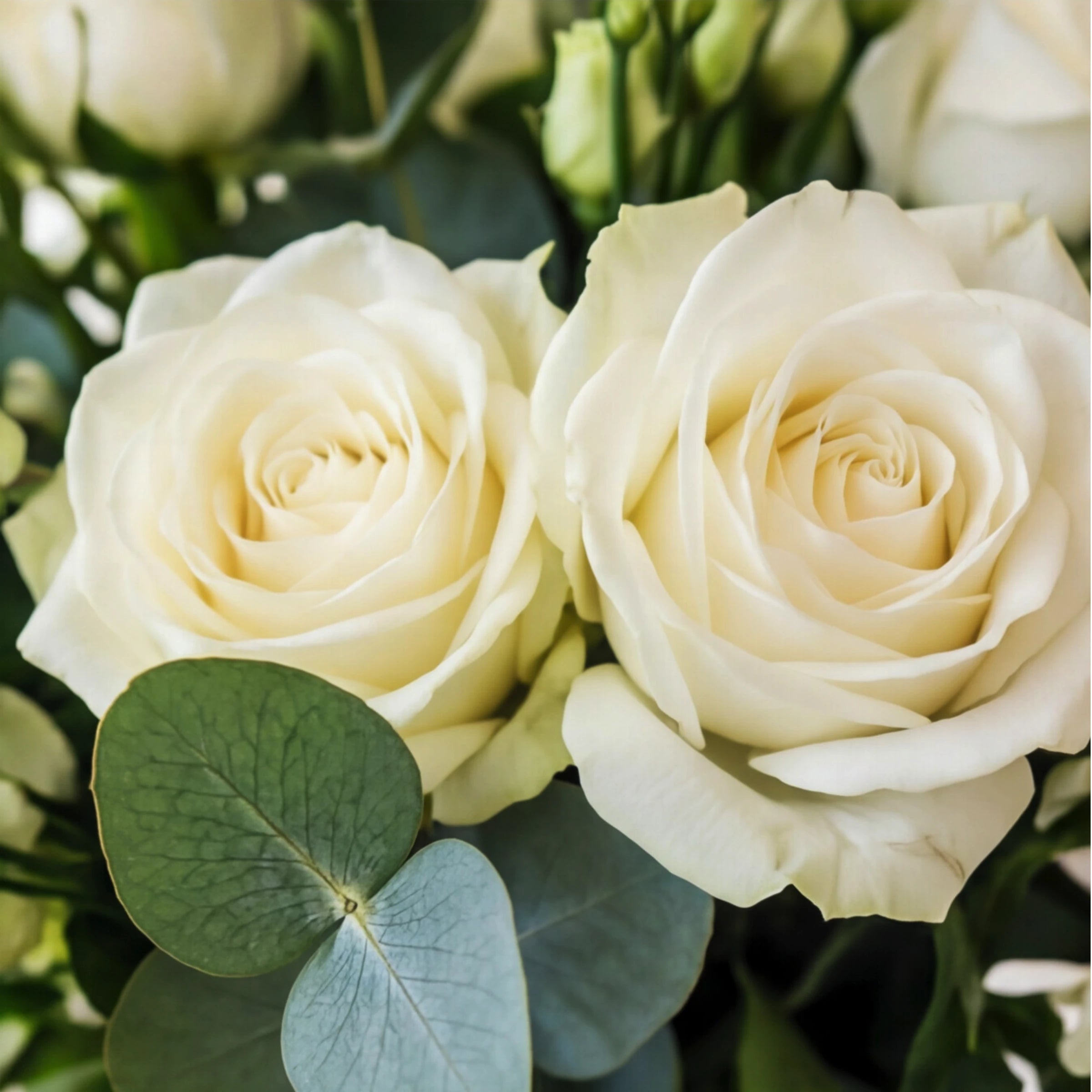 White Purity Vase Arrangement - image 5