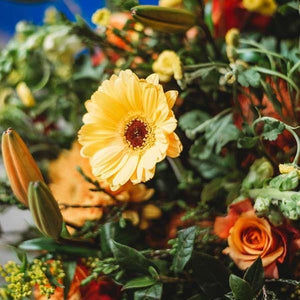 Sparkling Orange Bouquet - Fabulous Flowers Cape Town Flower Delivery