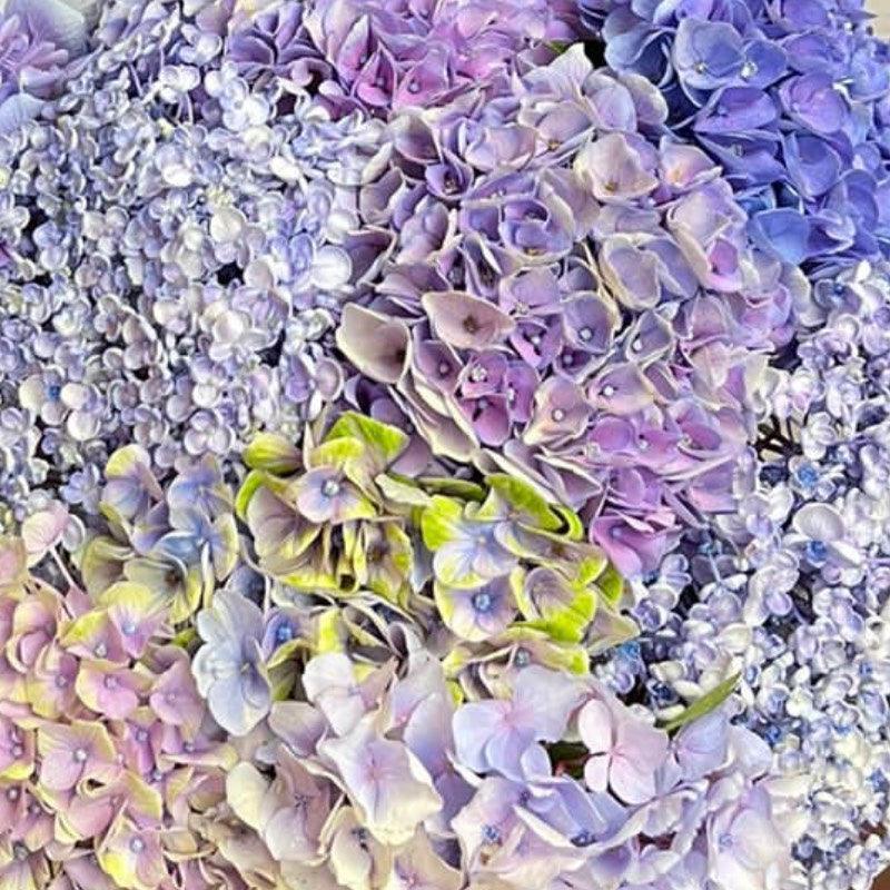 Close up of Blue Hydrangea Bouquet | Fabulous Flowers Kenilworth Florist