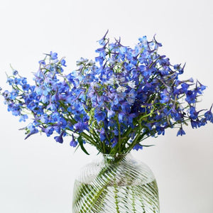 Elegant Blue Delphiniums in the Blue Sapphire Flower Arrangement - Fabulous Flowers Gifts for Her