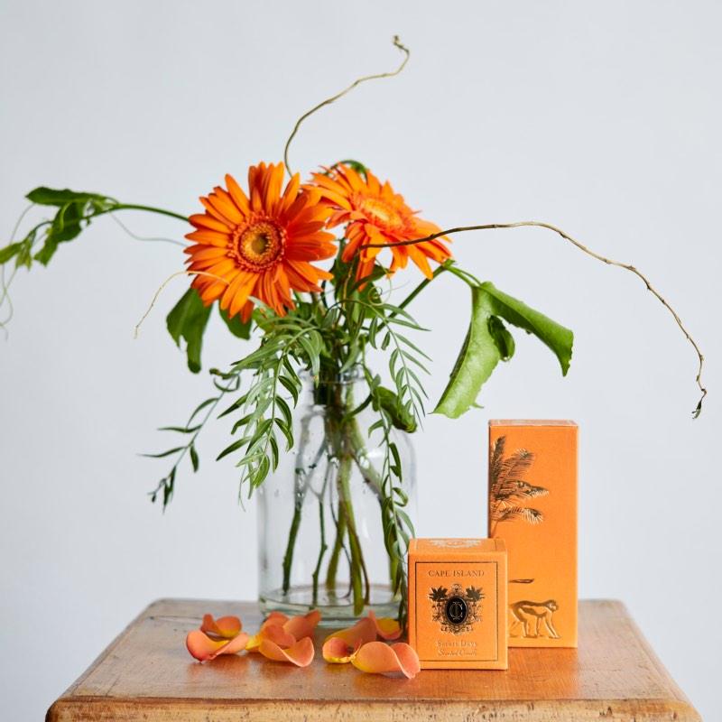 Cape Safari Gift Set with orange gerbera arrangement and Cape Island candles | Fabulous Flowers