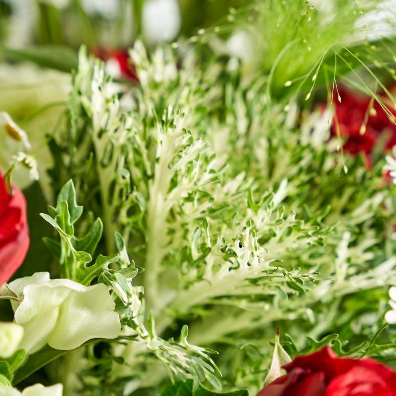 Elegant Passion | Fabulous Flowers Fresh