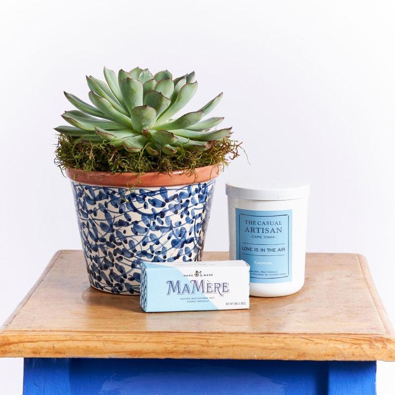 Ceramic succulent pot plant The Casual Artisan Love Is In The Air candle MaMere nougat | Fabulous Flowers