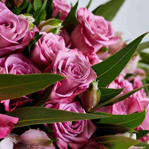 Fresh Roses Delivered | Fabulous Flowers