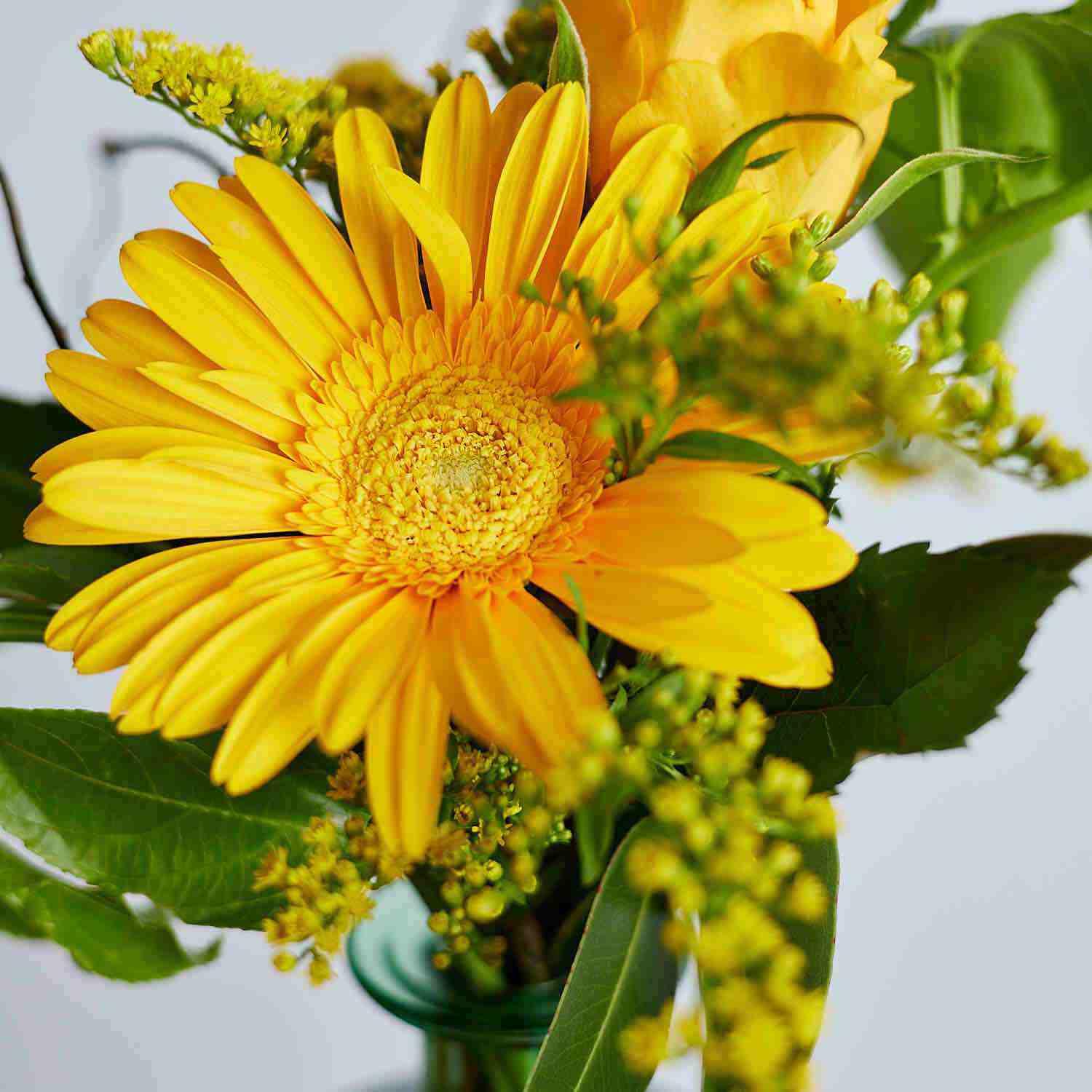 Flower Delivery Constantia | Fabulous Flowers