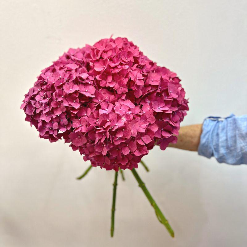 Maroon Hydrangea Bouquet - alternate view