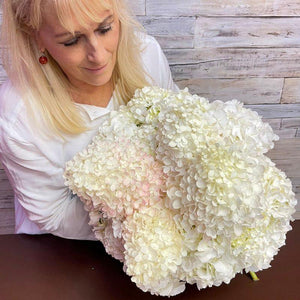 White Hydrangea Bouquet with Master Florist Josie van Aswegen | Fabulous Flowers Constantia Florist