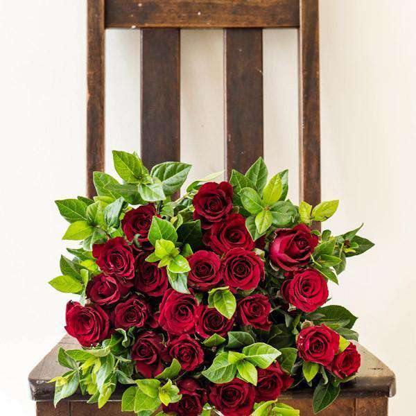 Red Rose Bunch (12 or 24 Red Roses) - Fabulous Flowers Cape Town Flower Delivery