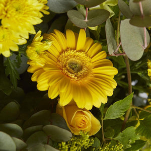 Close up image of yellow gerbera and yellow rose - Fabulous Flowers
